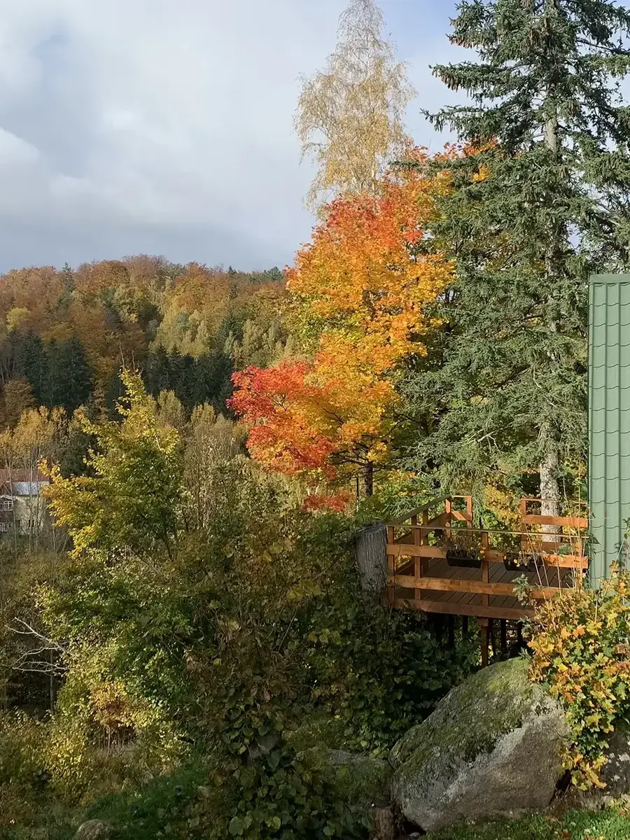 Zielony dach Chatki Naszej nad doliną w jesiennych kolorach